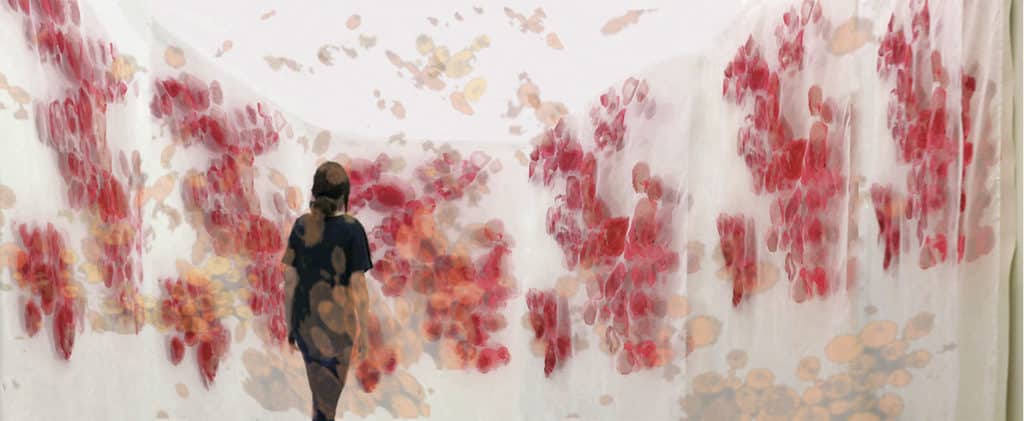 Michal Gavish, "Hidden Features (Protein Microscopy)" (2019)