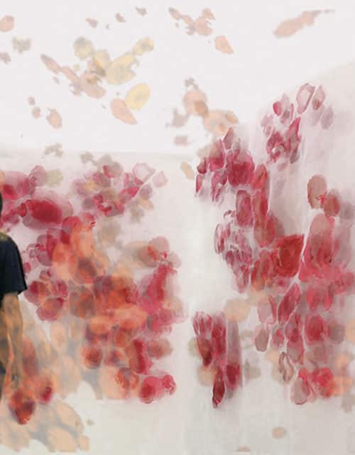 Michal Gavish, "Hidden Features (Protein Microscopy)" (2019)