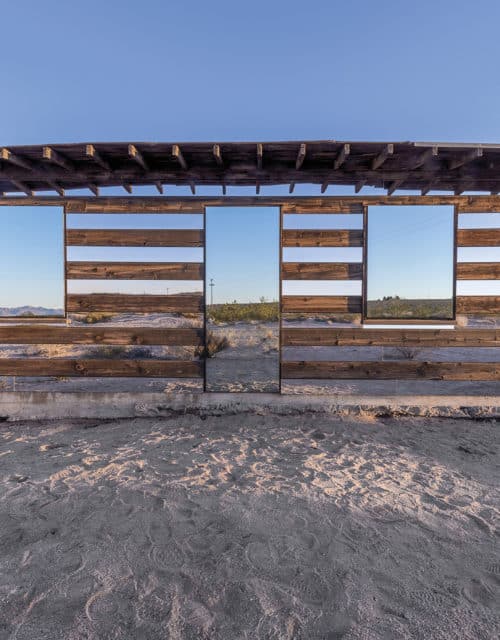 Phillip K. Smith III, "Lucid Stead" (2013)