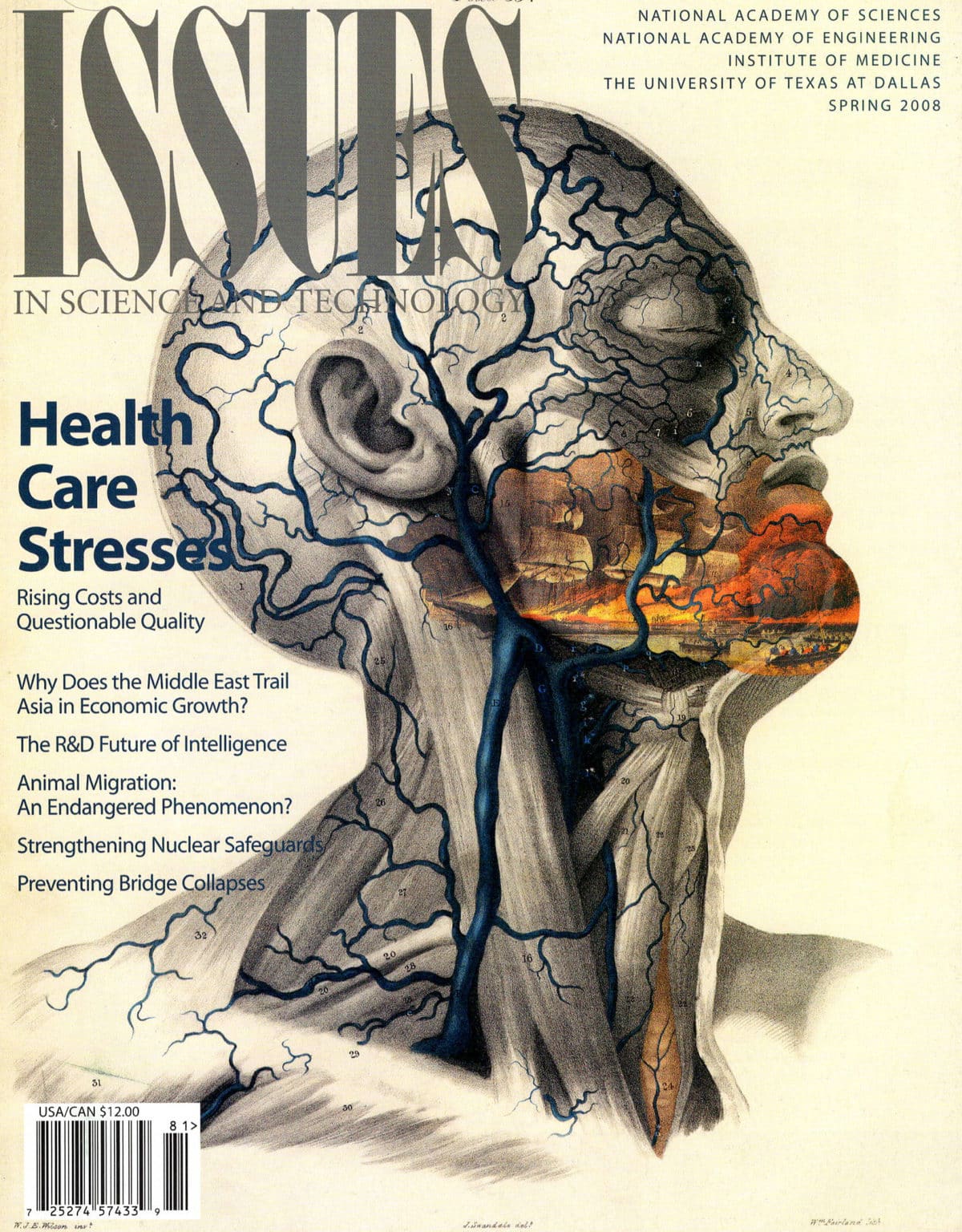 Issues Spring 2008 Health Care Stresses with scientific image of veins in a face