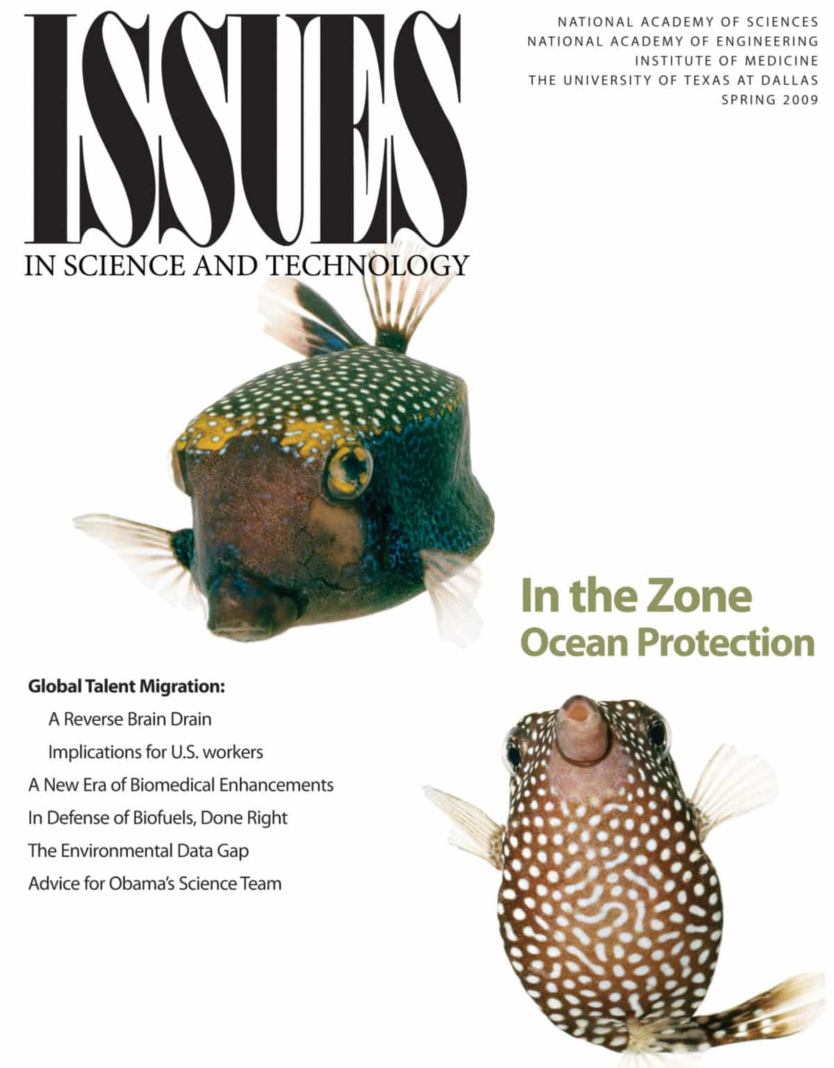 Magazine cover shows two fish floating