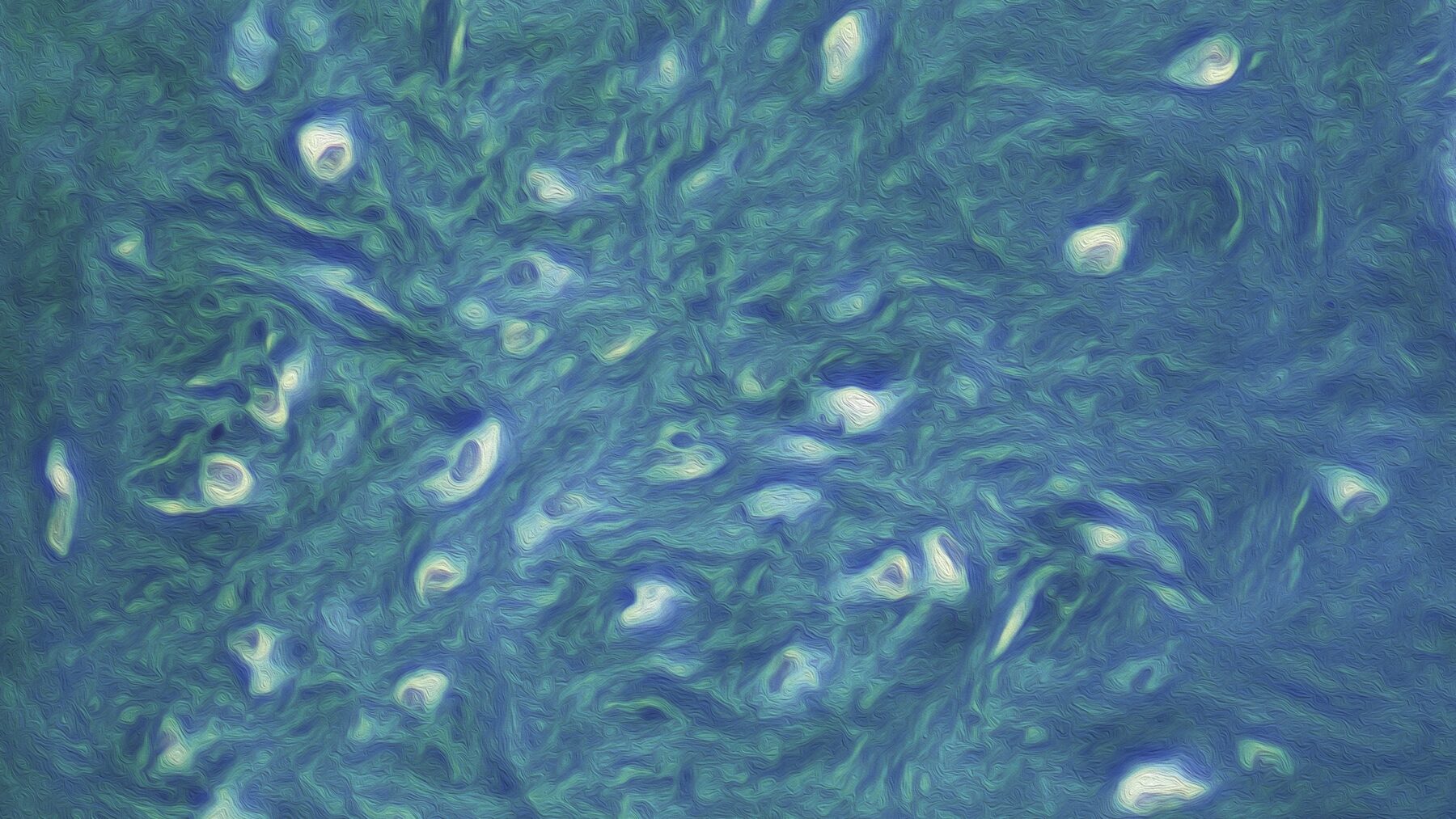 Benjamin Dubansky, Brooke Dubansky, Brandon Ballengée, and Christopher Just, in collaboration with Le Bleu Perdu Project, Slayer Logo Recognition from the series Né dans le peche (Born in Sin), 2024. Digitized image from a histology slide of American alligator osteoderm, stained with a modified version of Ramón y Cajal’s picroindigocarmine. Courtesy of the artists, Le Bleu Perdu Project, Atelier de la Nature.