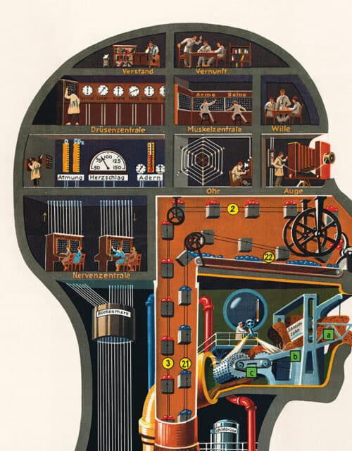 fritz kahn