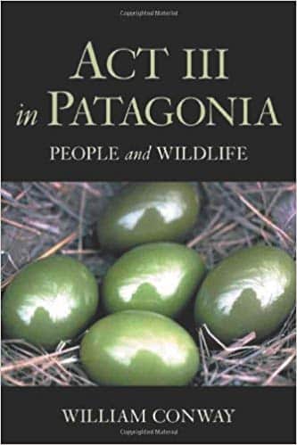 Act III in Patagonia Book Cover with 5 green eggs in a nest