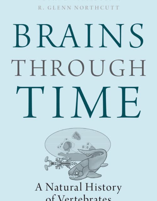 BRAINS THROUGH TIME by Georg Striedter and R. Glenn Northcutt