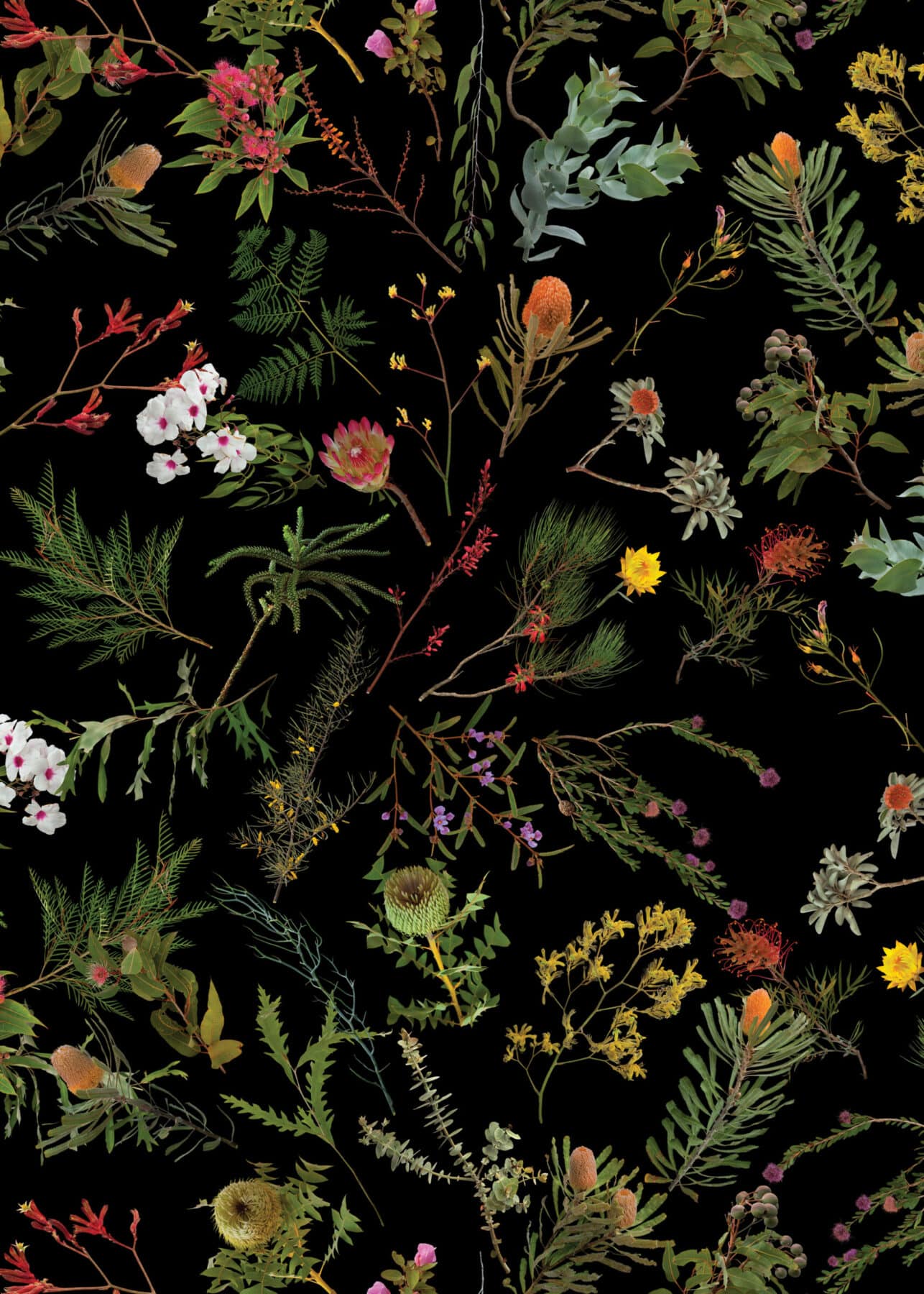 David Allan Burns and Austin Young, "Natural History: Native Plants" (detail), 2020