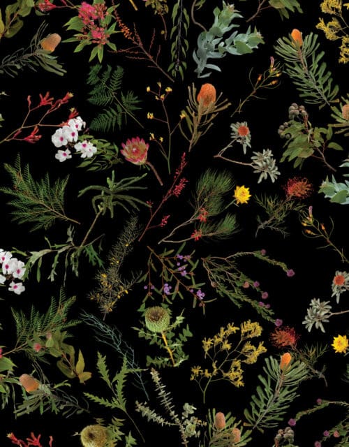David Allan Burns and Austin Young, "Natural History: Native Plants" (detail), 2020
