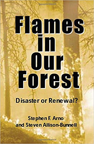 Flames in our Forrest book cover by Stephen Arno