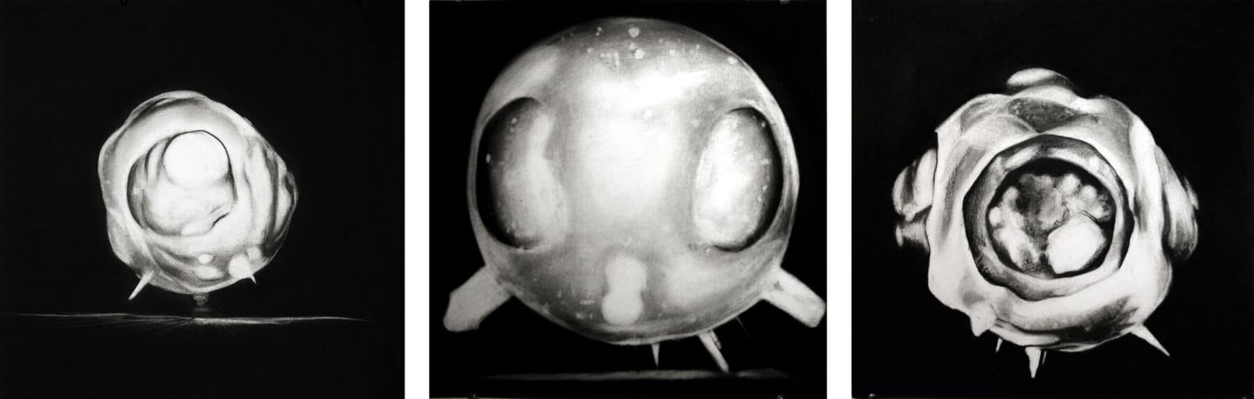 Yulia Pinkusevich, Nuclear Sun Series, 2010, charcoal on paper.Courtesy of the artist
and Rob Campodonico,
© Yulia Pinkusevich.