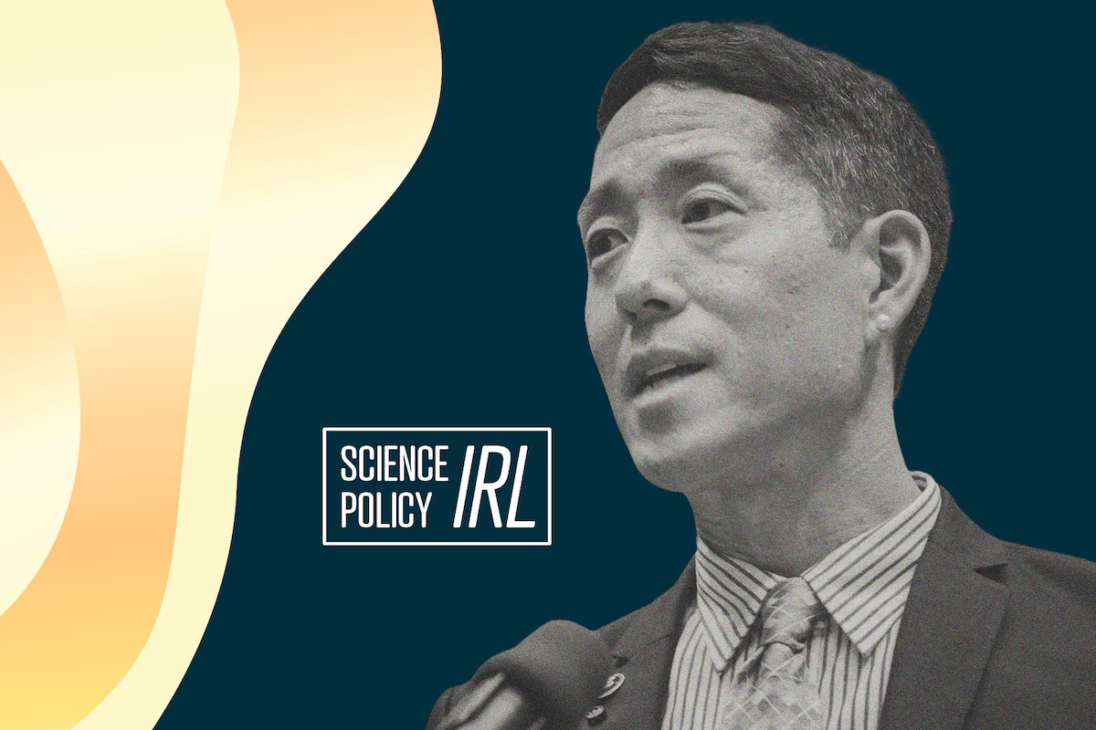 Kei Koizumi Advises the President