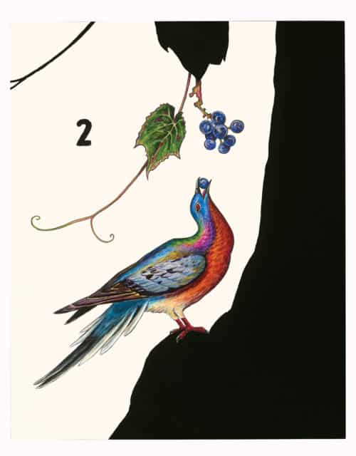 James Prosek, "Passenger Pigeon (with Wild Grapes)" (2015)