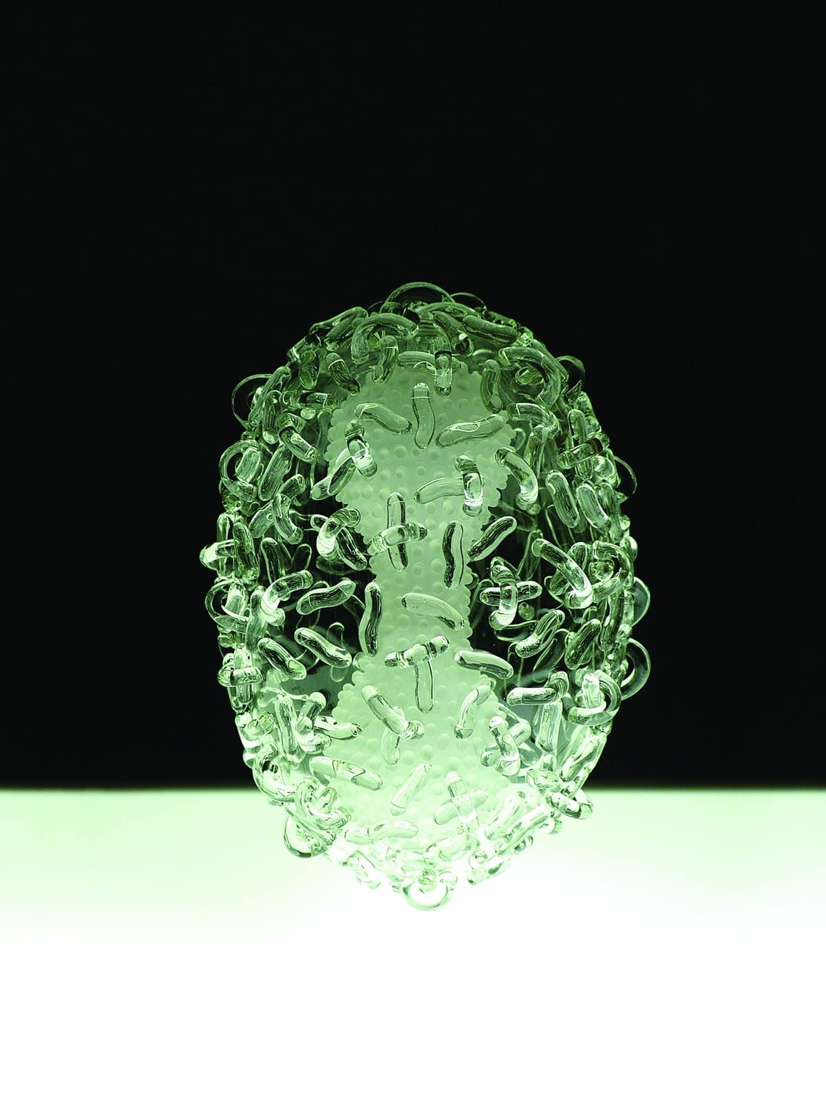 A microscopic image of smallpox