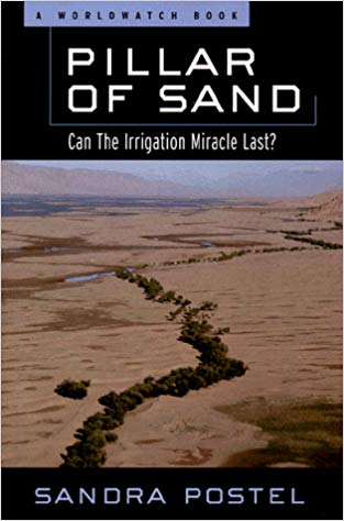 Pillar of Sand book cover by Sandra Postel