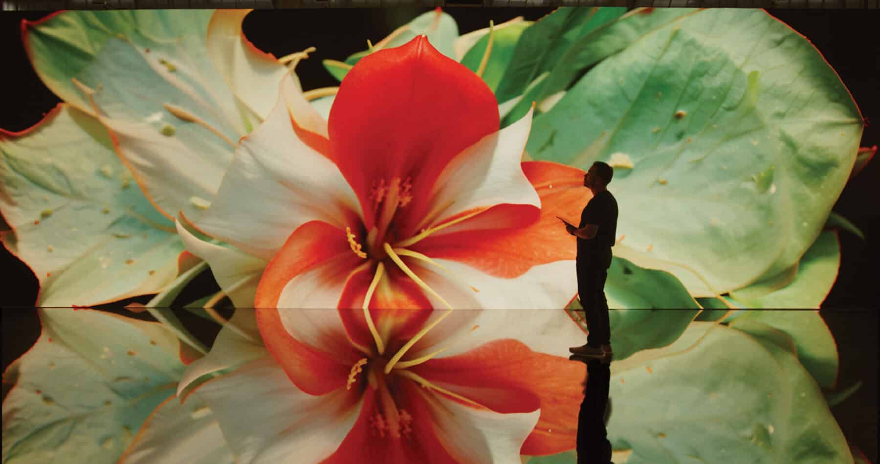 Refik Anadol Studio, "Living Archive: Nature"