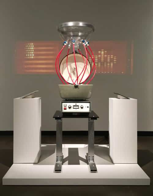 Paul Vanouse, America Project, 2016, spittoon and video projection.