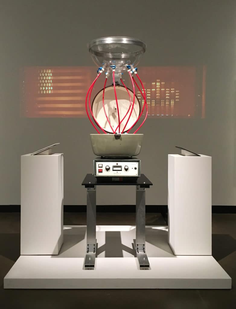 Paul Vanouse, America Project, 2016, spittoon and video projection.